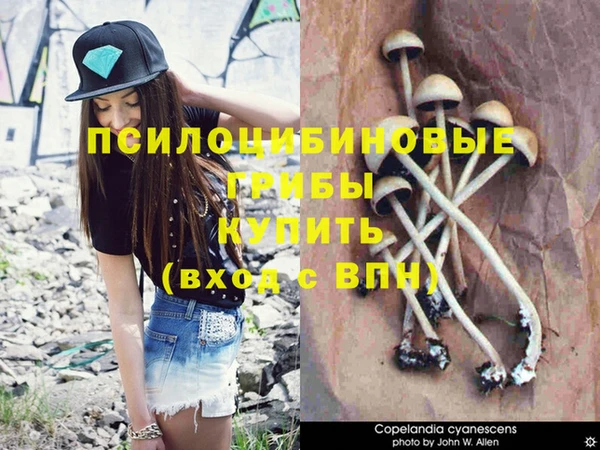 мяу мяу кристалл Горняк